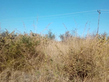 Farm & Agricultural Land