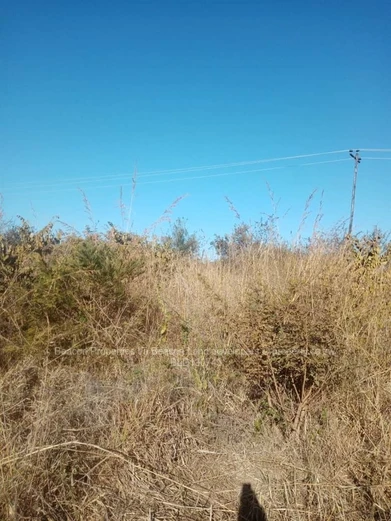 Chegutu Plots