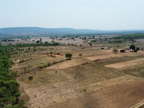Farm & Agricultural Land