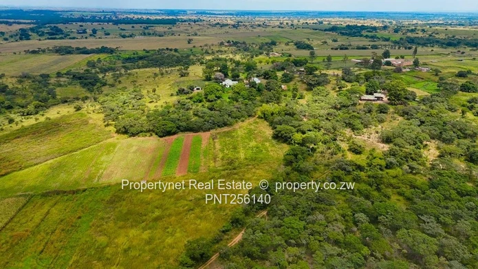 Mazowe South Farm!!!