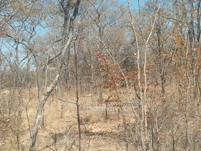 A good opportunity for investment  (Sole Mandate)