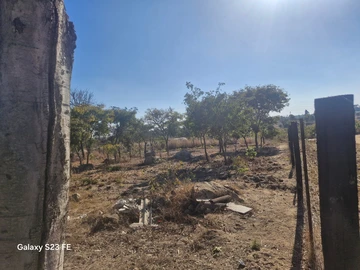 Farm & Agricultural Land