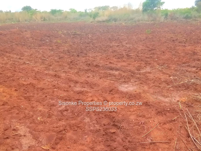 Spacious corner stand for sale in Pomona Buckland terrace