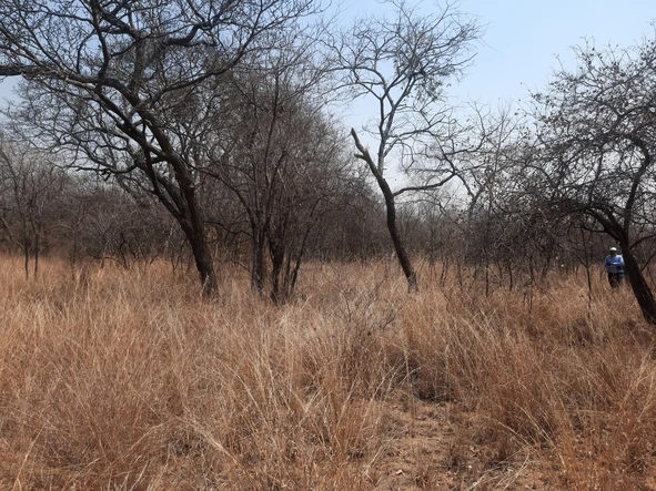 Farm & Agricultural Land