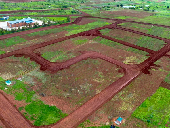 Stands & Residential Land