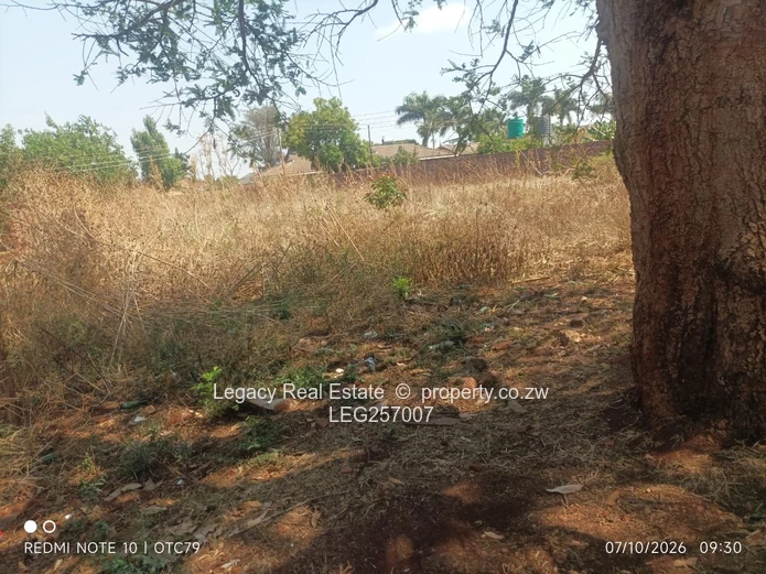 1139m² Vacant Stand in Westgate – Mature Trees, Services