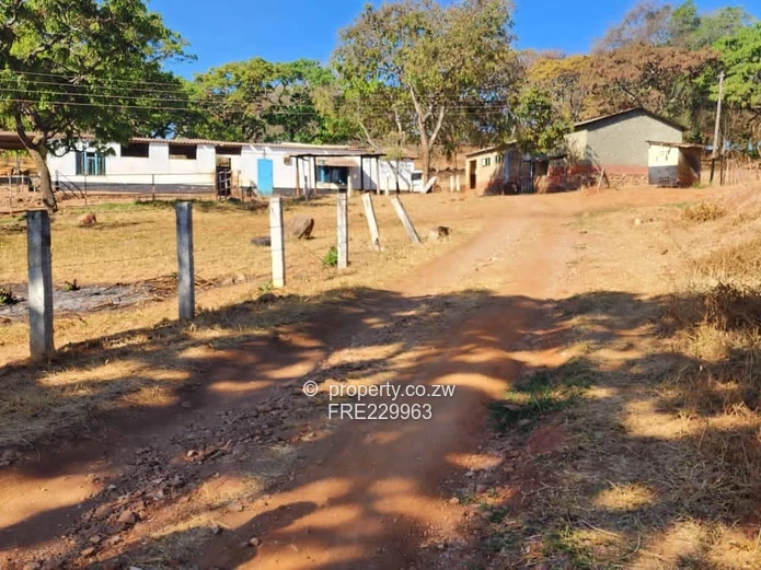 Glenforest Agro-Residential Farm for Sale – $2.7 Million | 27 Hectares