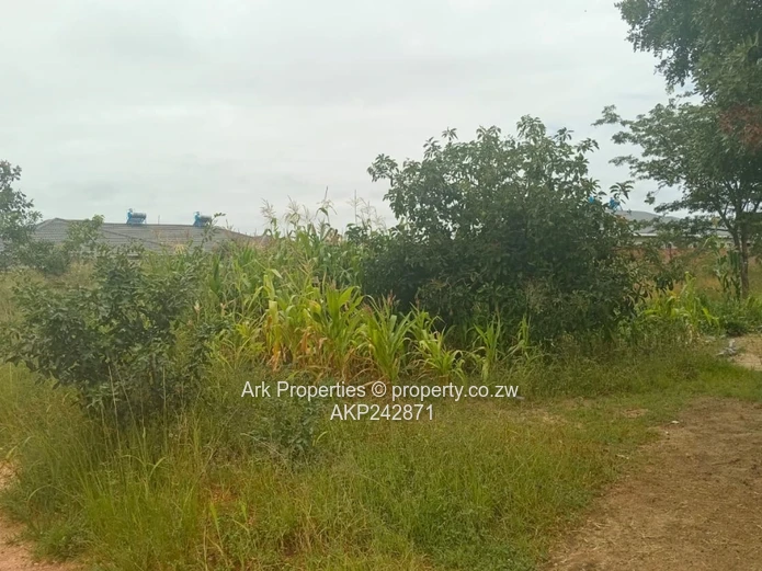 Stand for sale in Elizabeth Park Ruwa