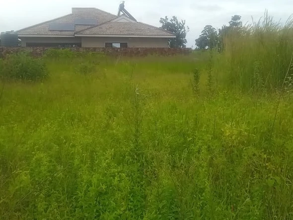 Stands & Residential Land