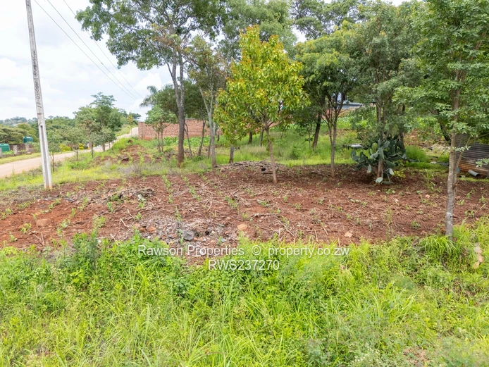 Superb opportunity Carrick Creagh  (Sole Mandate)