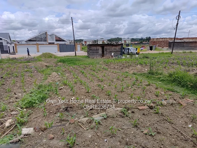 Madokero Estate infill stand for sale 