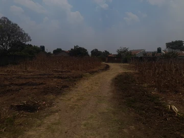 Stands & Residential Land