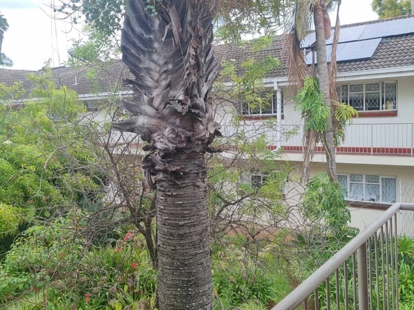 2 Bedroom Garden Flat