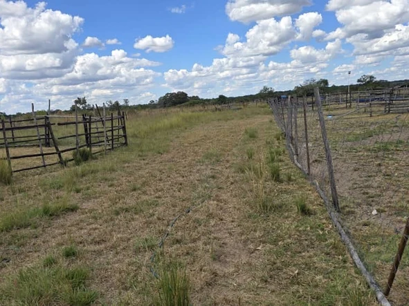 Farm & Agricultural Land