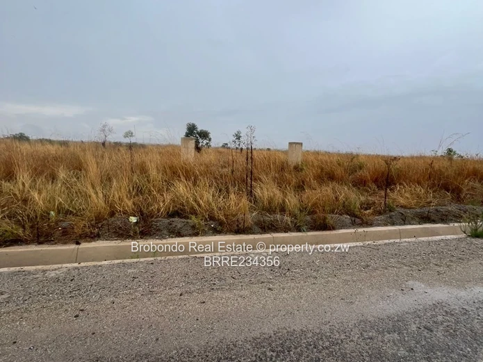 Nyabira Luna Park Stands for sale, full Christmas Package! US$30/sqm