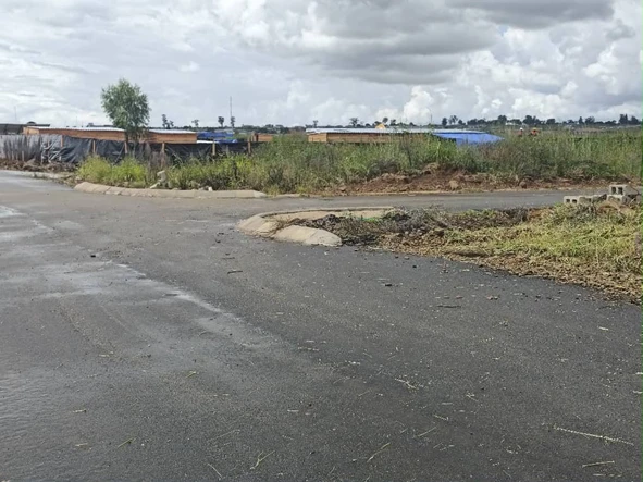Stands & Residential Land