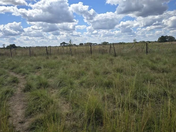Farm & Agricultural Land