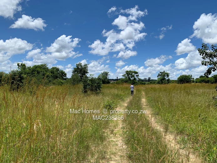 Rusape Land For Sale (Sole Mandate)
