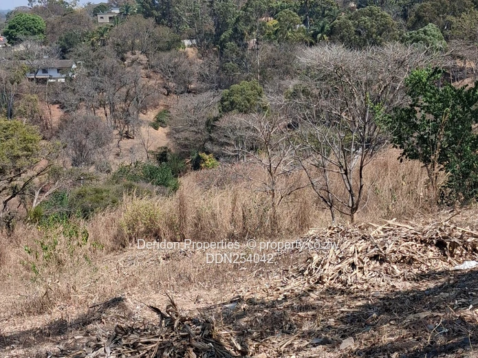 Prime 13,500m² Residential Land in Helensvale, Harare