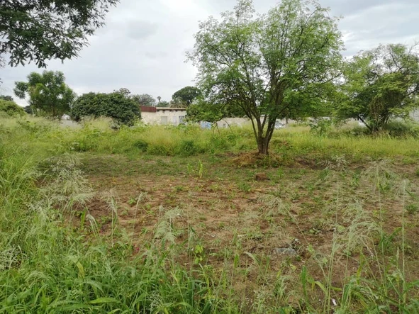 Commercial & Industrial Land