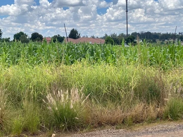 Stands & Residential Land