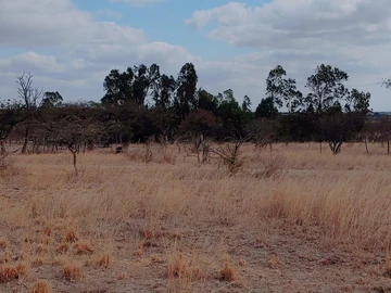 Farm & Agricultural Land