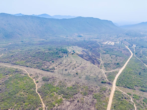Farm & Agricultural Land