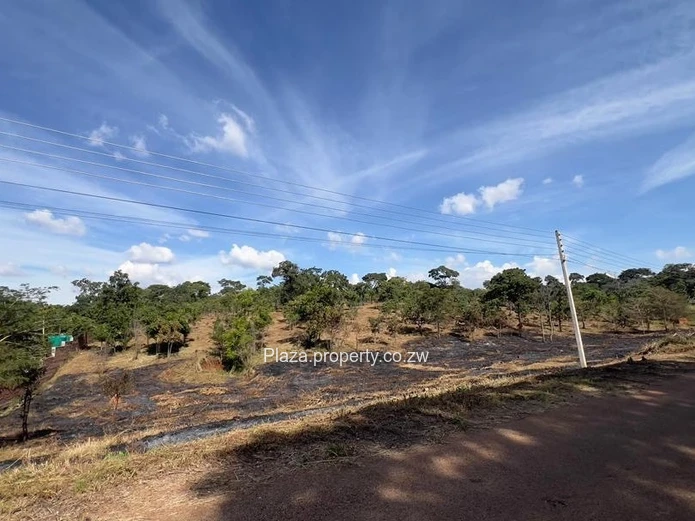 Where Vision Meets Land