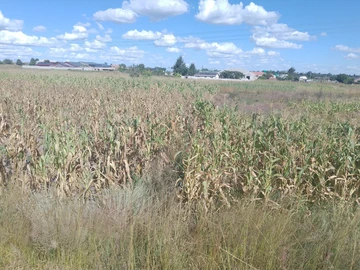 Commercial & Industrial Land