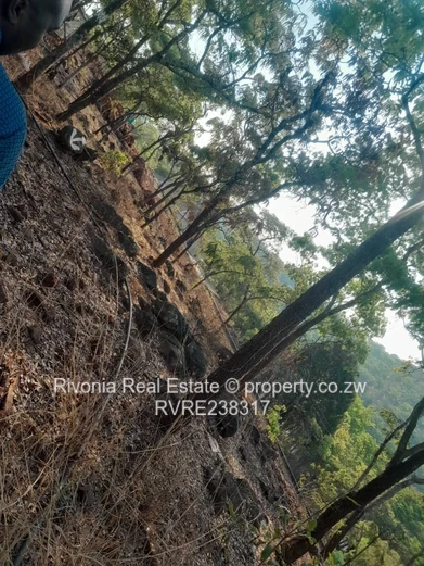 Preferred Investment