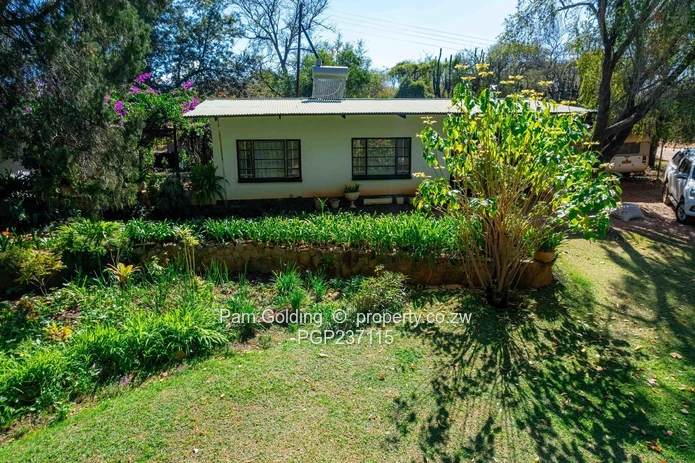 Expansive Gwanda Gem