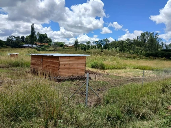 Stands & Residential Land