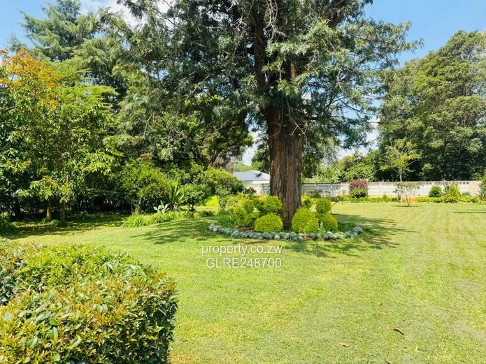 2000 m² Emerald Hill Stand — Secure, Treed & Subdividable