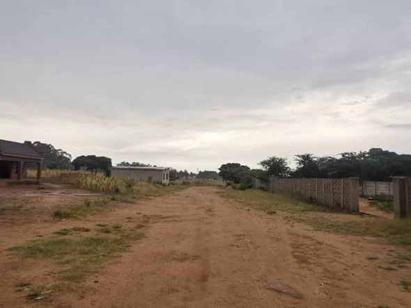 Stands & Residential Land