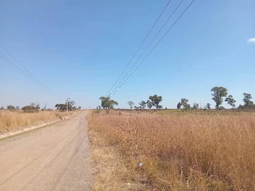 Stands & Residential Land