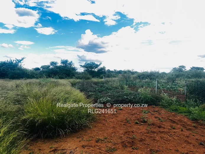 Woodville Stand For Sale