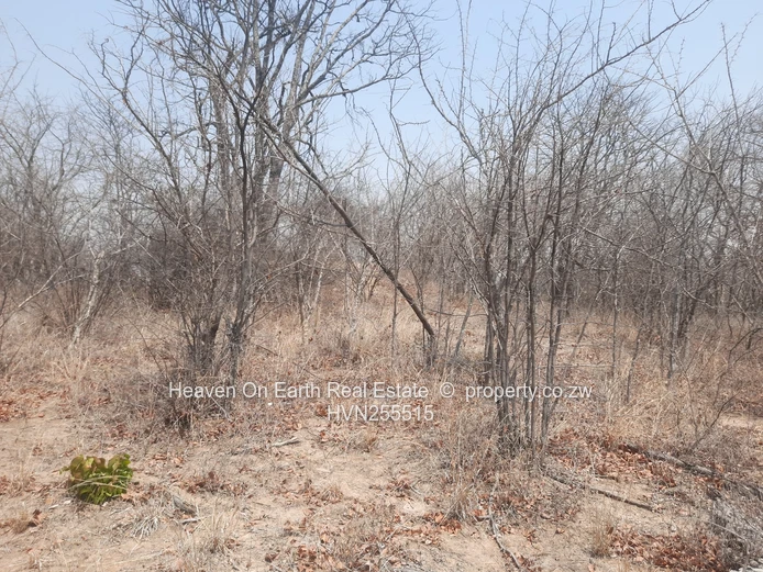 Plots For Sale