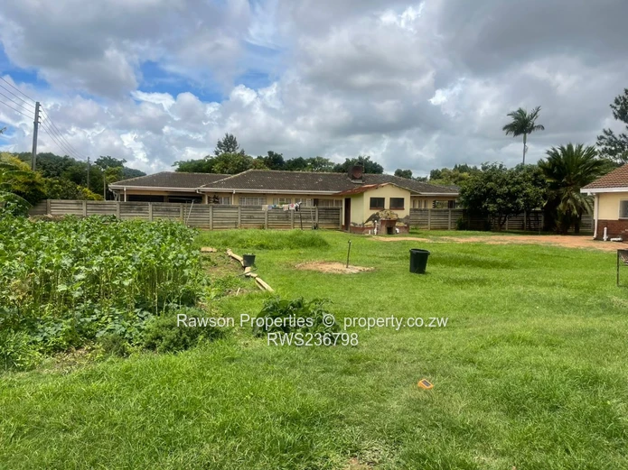 Investment opportunity 