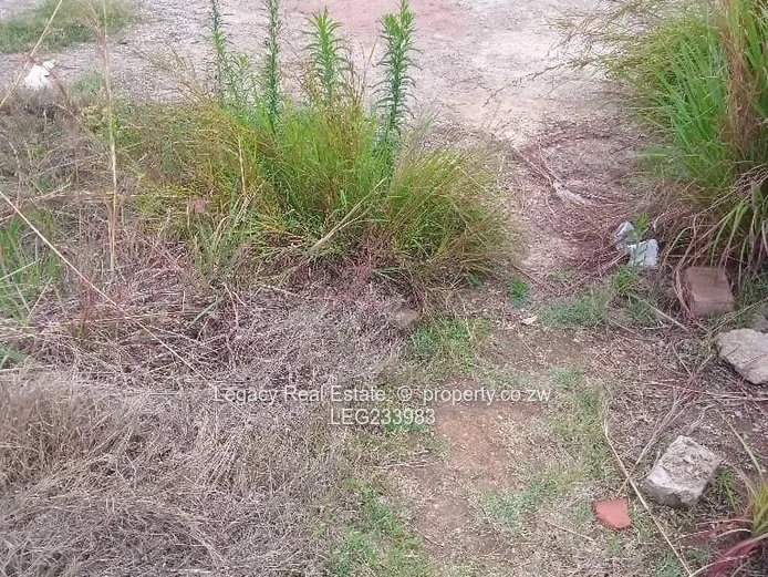  Ready to Build Stand in Cold Comfort. 