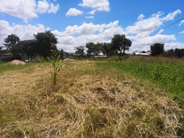 Stands & Residential Land