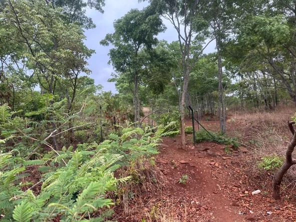 Farm & Agricultural Land