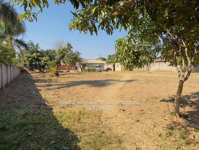 Generous Size Stand with 2-Bed Cottage, Zimre Park