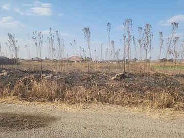 Stands & Residential Land