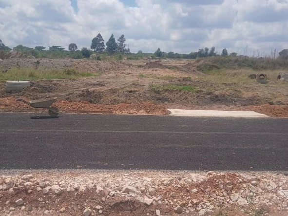 Farm & Agricultural Land