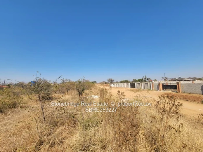 1 Acre Buena Vista Stand For Sale