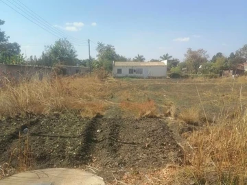 Stands & Residential Land