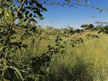 Farm & Agricultural Land