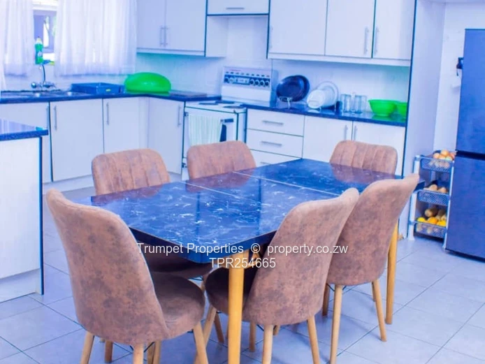 Fully Furnished Lodge in Binga — Modern Kitchen & Courtyard