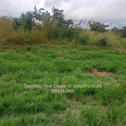  Grab this highway goldmine!  (Sole Mandate)