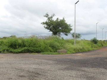 Stands & Residential Land